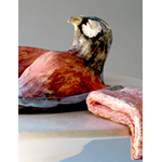 Persephone thumbnail